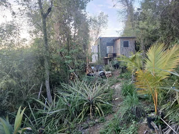 C 5 A 5 Lovenlund Gns, Saint Thomas, VI 00802