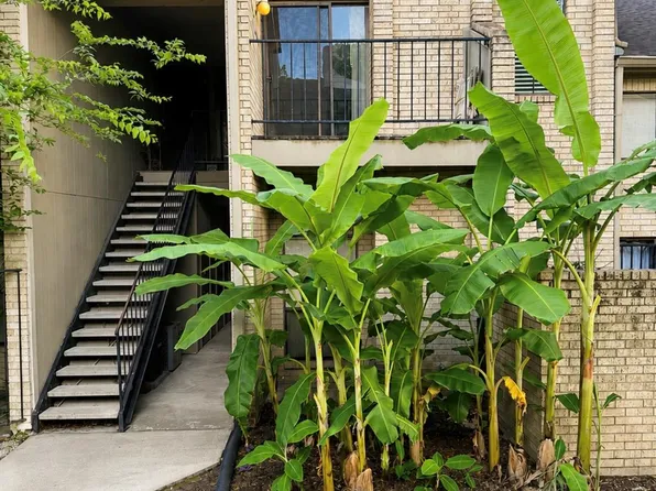 10811 Richmond Ave APT 72, Houston, TX 77042
