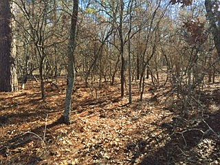 4th image of 0 Broad Oak Drive