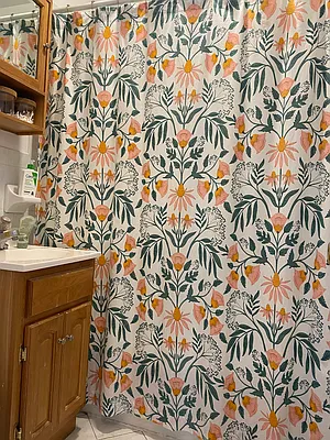 Rented by Compass | media 10