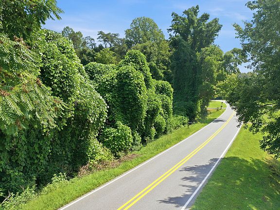 5th image of 4042 White Level Rd Lot 2