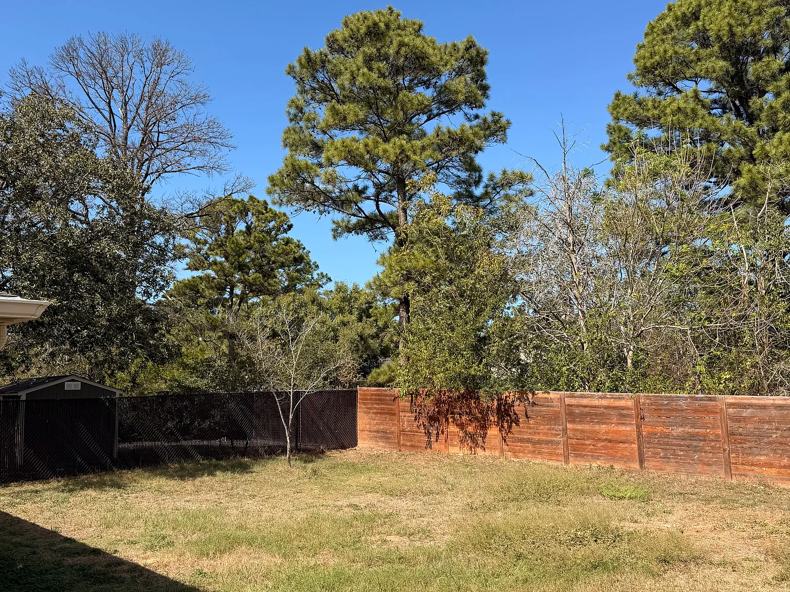 4 bed, 1593 sqft, $2,750 — Photo 3