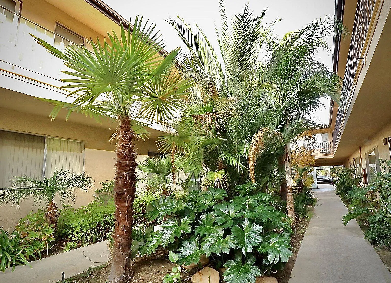 2 bed, 850 sqft, $2,295 — Photo 3