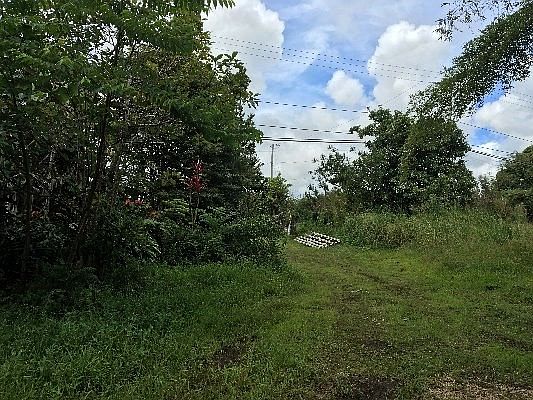 5th image of 2159 Ainaola Dr Lot 1410