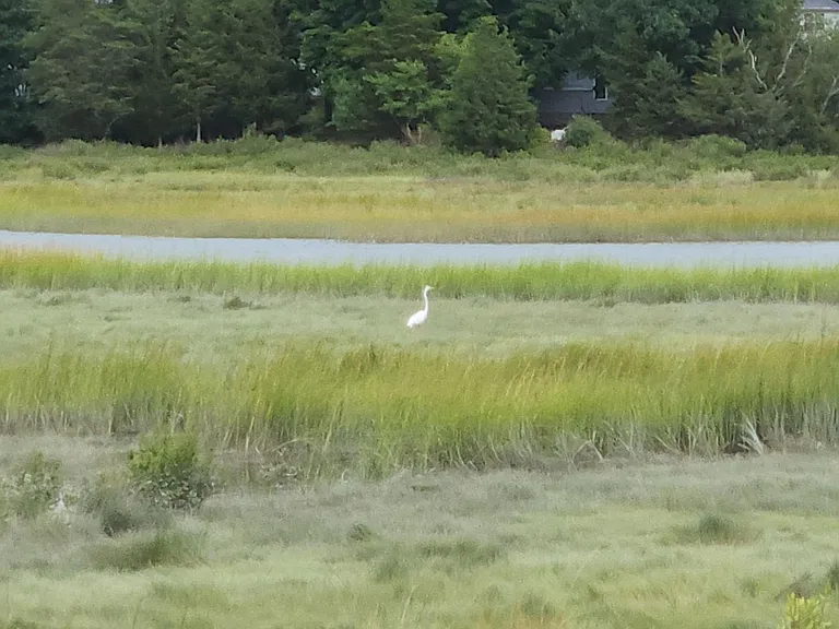 The Overlook — Photo 48