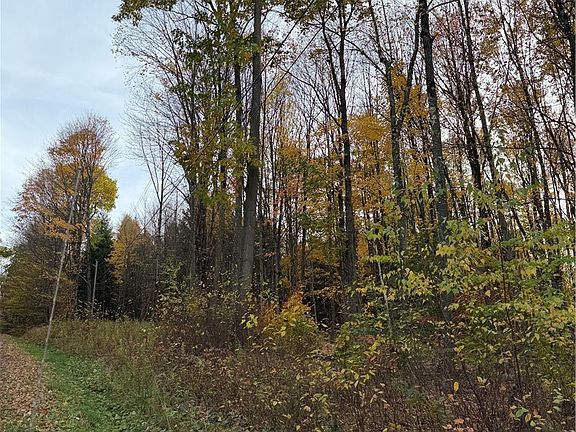 2nd image of 307 Watrus Rd Lot 20
