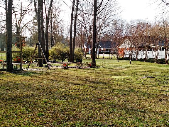 Roast marshmallows in firepi