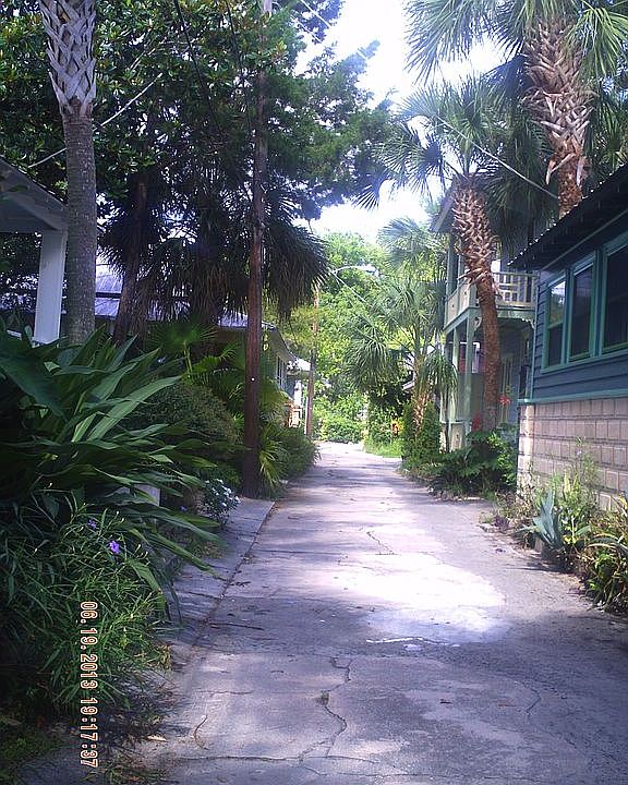 the court