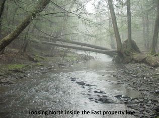 836 Caldwell Hill Rd, Lisle, NY 13797