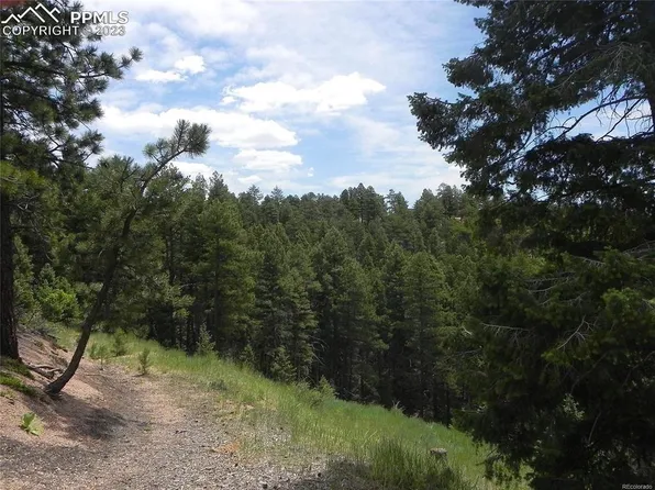 13982 Blue Jay Ln, Larkspur, CO 80118