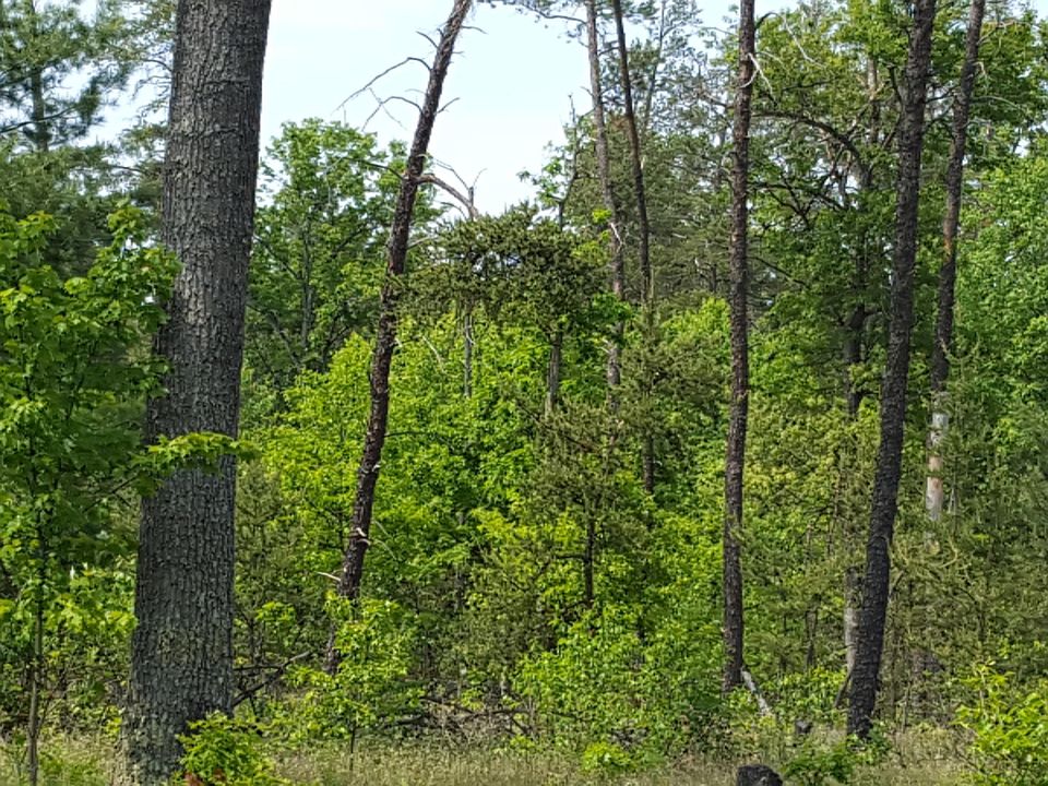 2nd image of 92 E Ten Mile Rd
