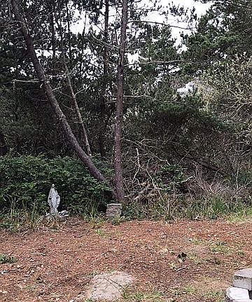 5th image of 396 N Wynoochee Dr SW