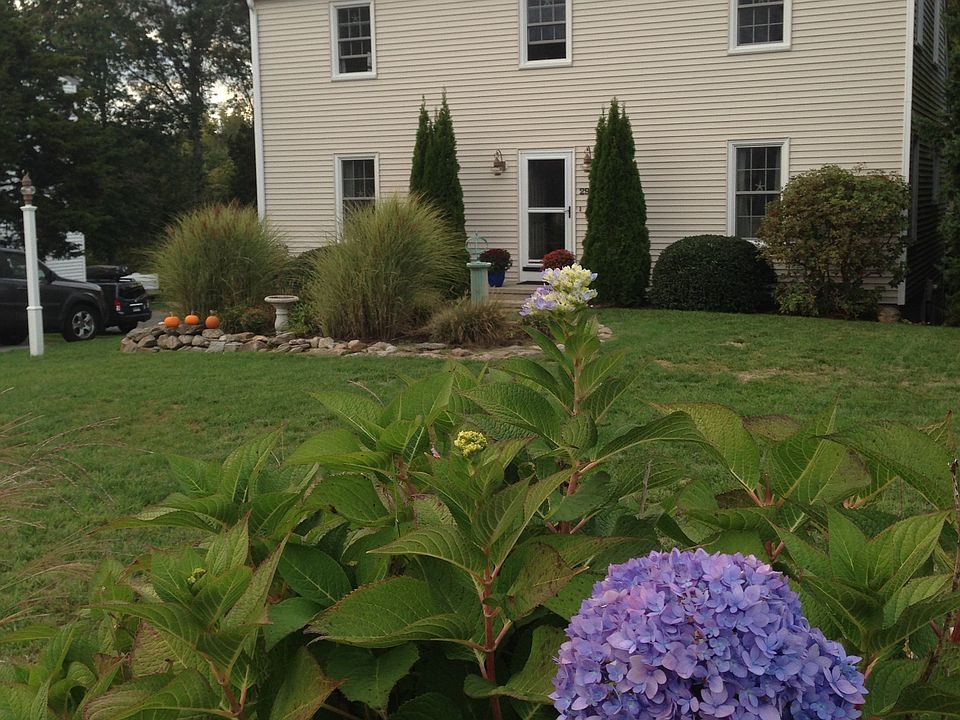 2nd image of 29 Mallard Ln