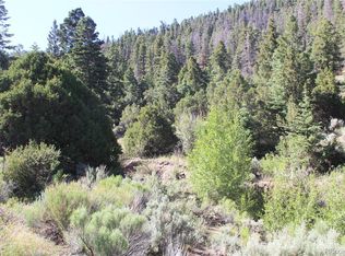 5478 Joy Rd, Fort Garland, CO 81133