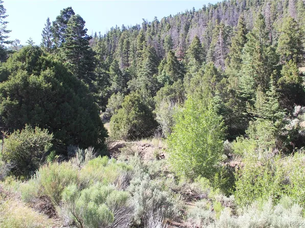 5478 Joy Road, Fort Garland, CO 81133