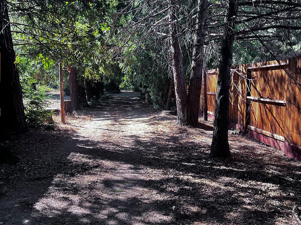 Private front yard leading to Redwood grove.