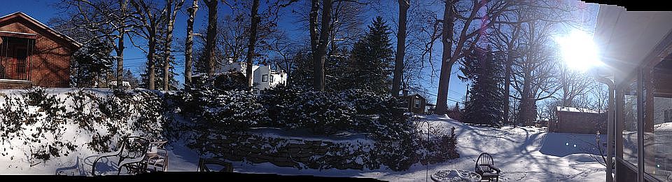 back yard: winter