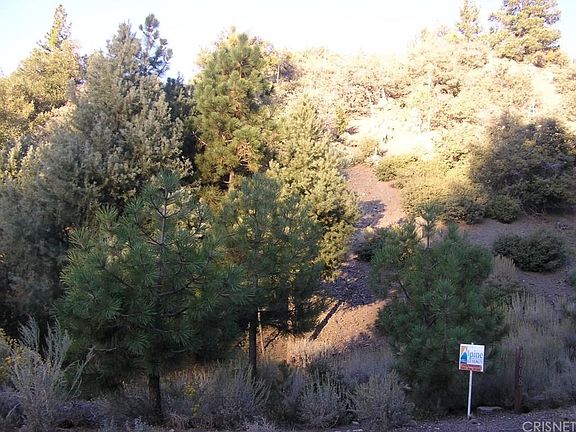 2nd image of 1608 Dogwood Way