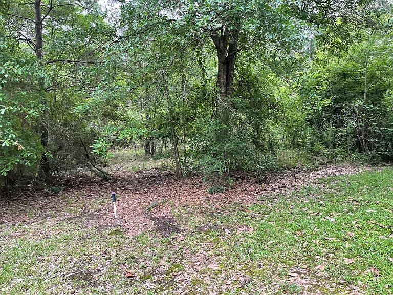 17361 Regina Coeli Rd — Photo 16