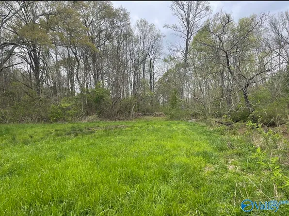 6132 Sorter Rd, Guntersville, AL 35976