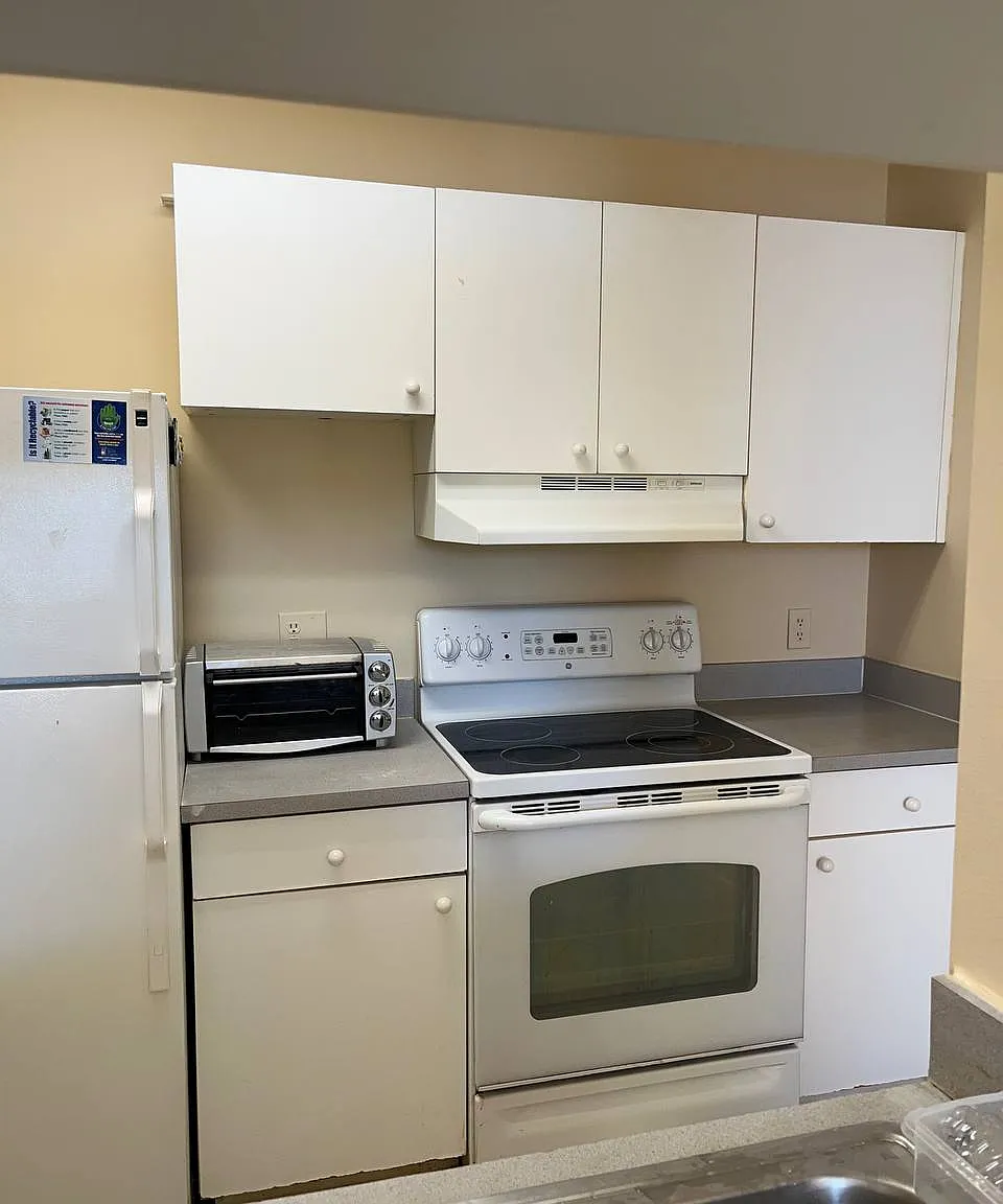 1 bed, 655 sqft, $1,250 — Photo 4