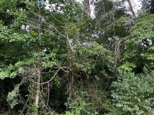 441/442 Corrotoman Dr, Lancaster, VA 22503