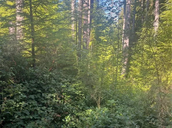 0 Lots 1&2 Blk20 Raymond 6th Add, Raymond, WA 98577