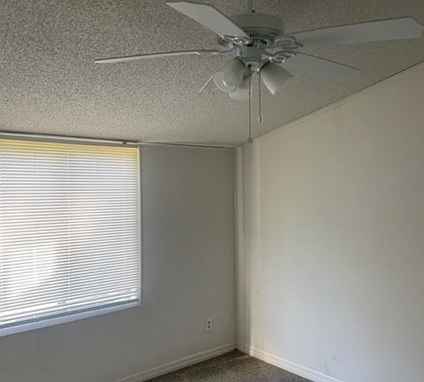 3rd image of 2833 Carlisle Ave