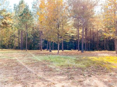 15201 Jackson Trace Rd, Coker, AL, 35452