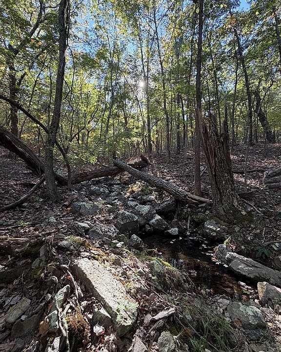 1st image of 0 Ruger Hills Rd