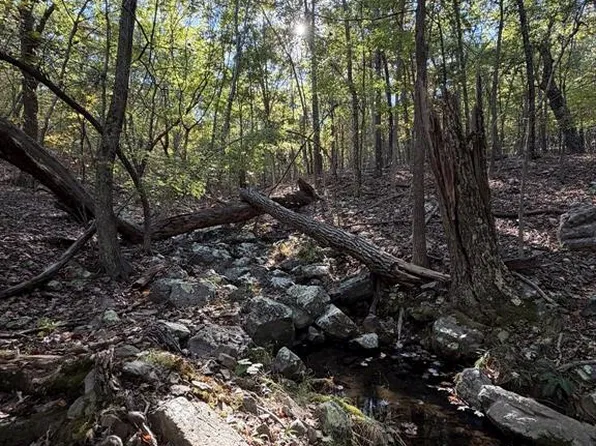 0 Ruger Hills Rd, Bismarck, MO 63624