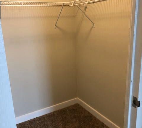 Spacious closets for storage
