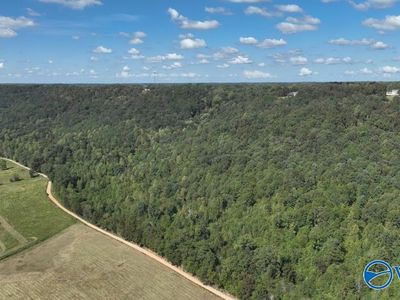 4 County Road 223, Collinsville, AL, 35961
