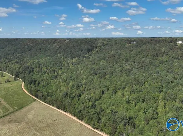 4 County Road 223, Collinsville, AL 35961