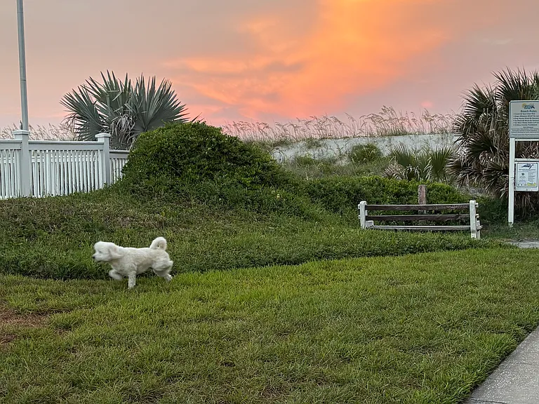 1200 Ocean Front — Photo 9