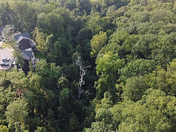 4th image of 145 Reedmont Way