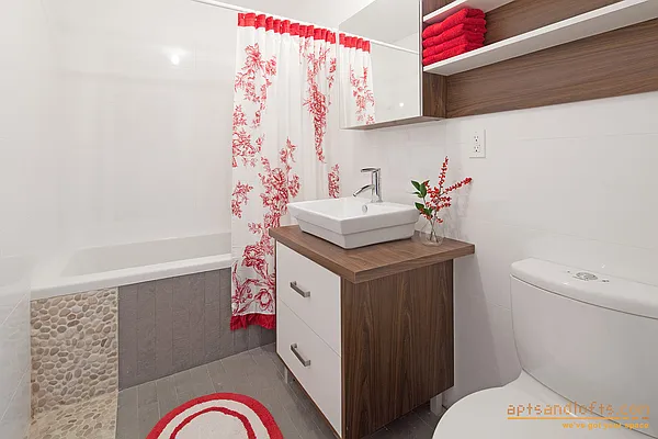 Rented by aptsandlofts.com | media 13