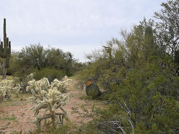 5th image of 7260 N Desert Plains Dr