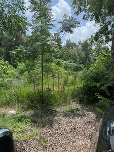 00 SE 61ST COURT LOT 45, Summerfield, FL, 34491