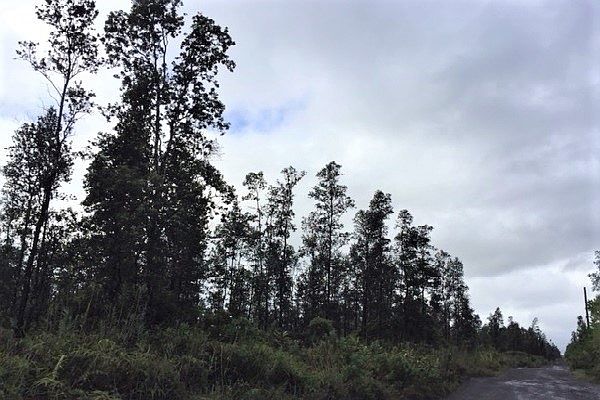 2nd image of 3182 Road