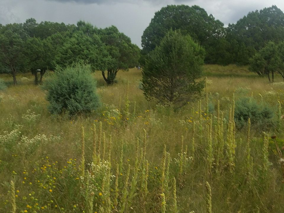 2nd image of Parcel #112