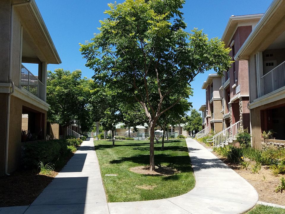 Parklike setting