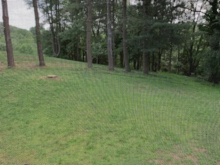 1614 Charnita Ct — Photo 24