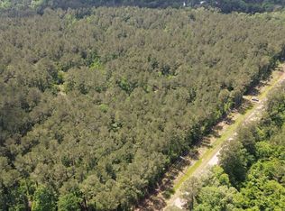 State Highway 1039, Holden, LA 70744
