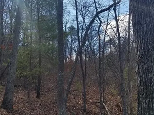 39 Balsamwood Rd, Leicester, NC 28748