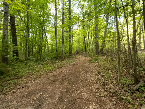 E Grand Blvd, Topinabee, MI 49791