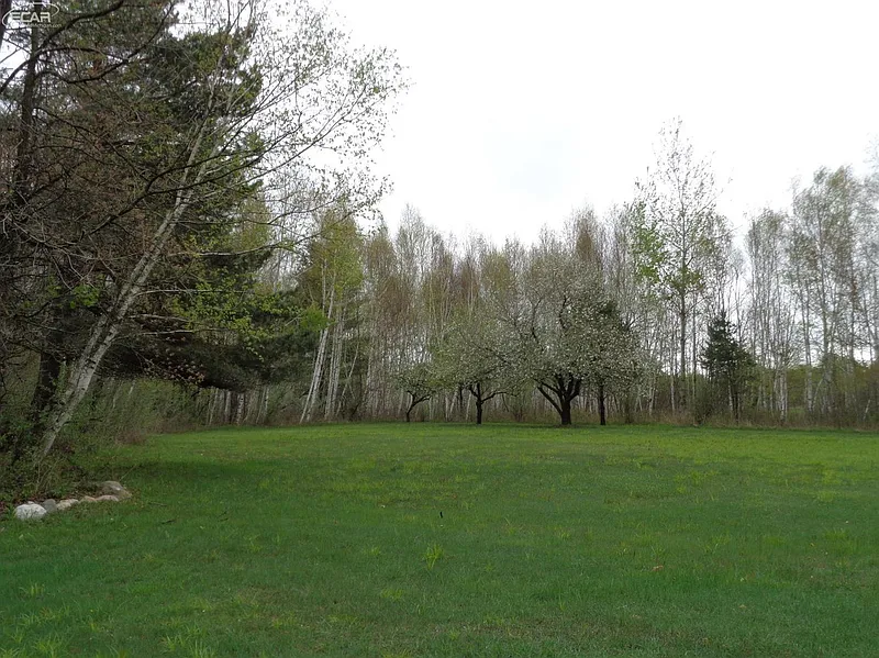 Thumbnail 20