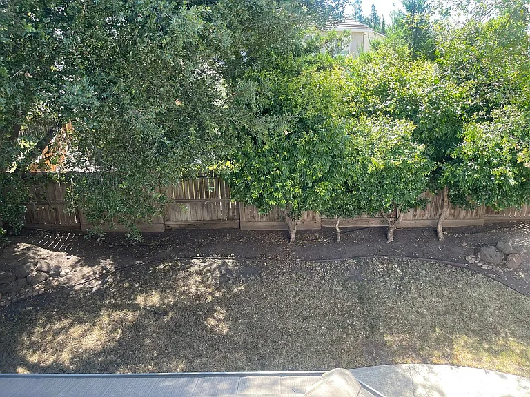 4006 Angelina Ln — Photo 16