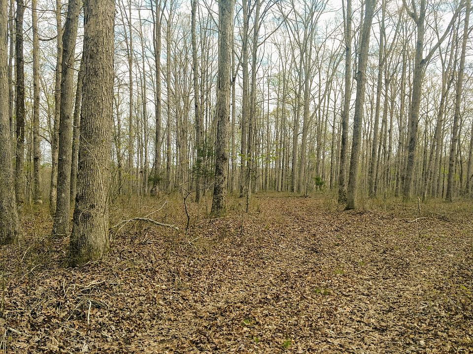 1st image of 0 Natchez Trace Pkwy