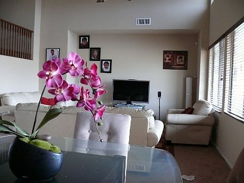 family room